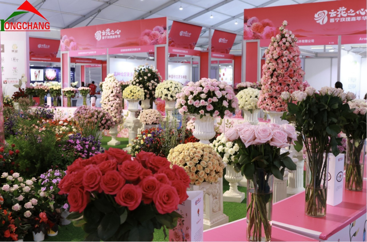 微信截图_20240821111836