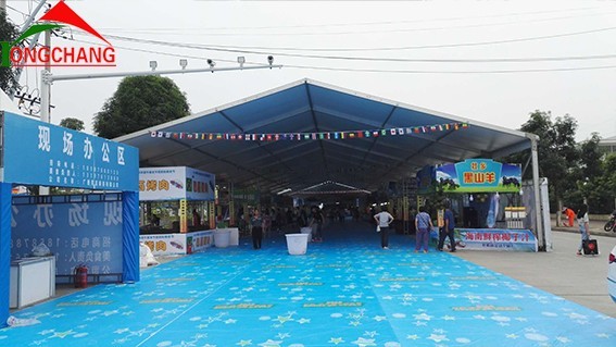 2018平果欢乐端午朋友节