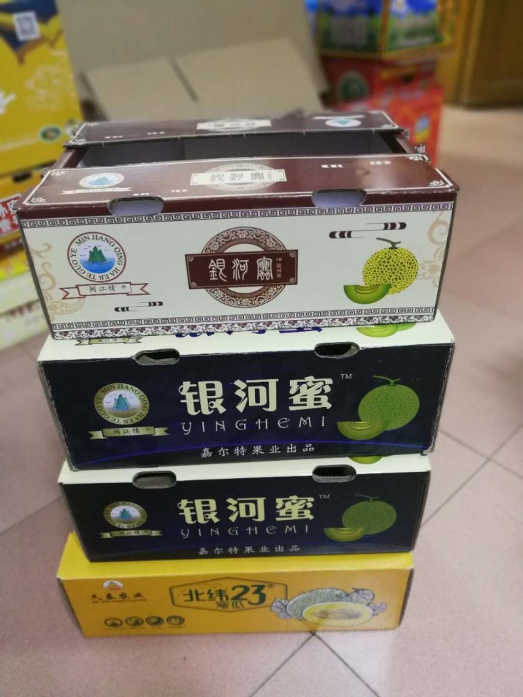 15565959051284719186