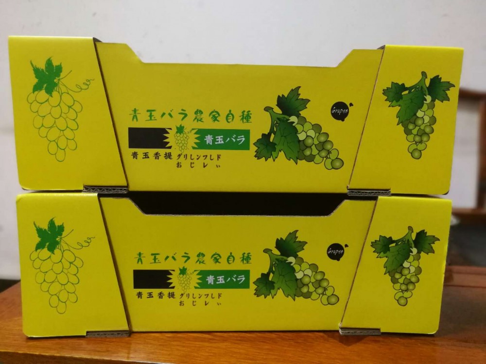 15565959061026912275