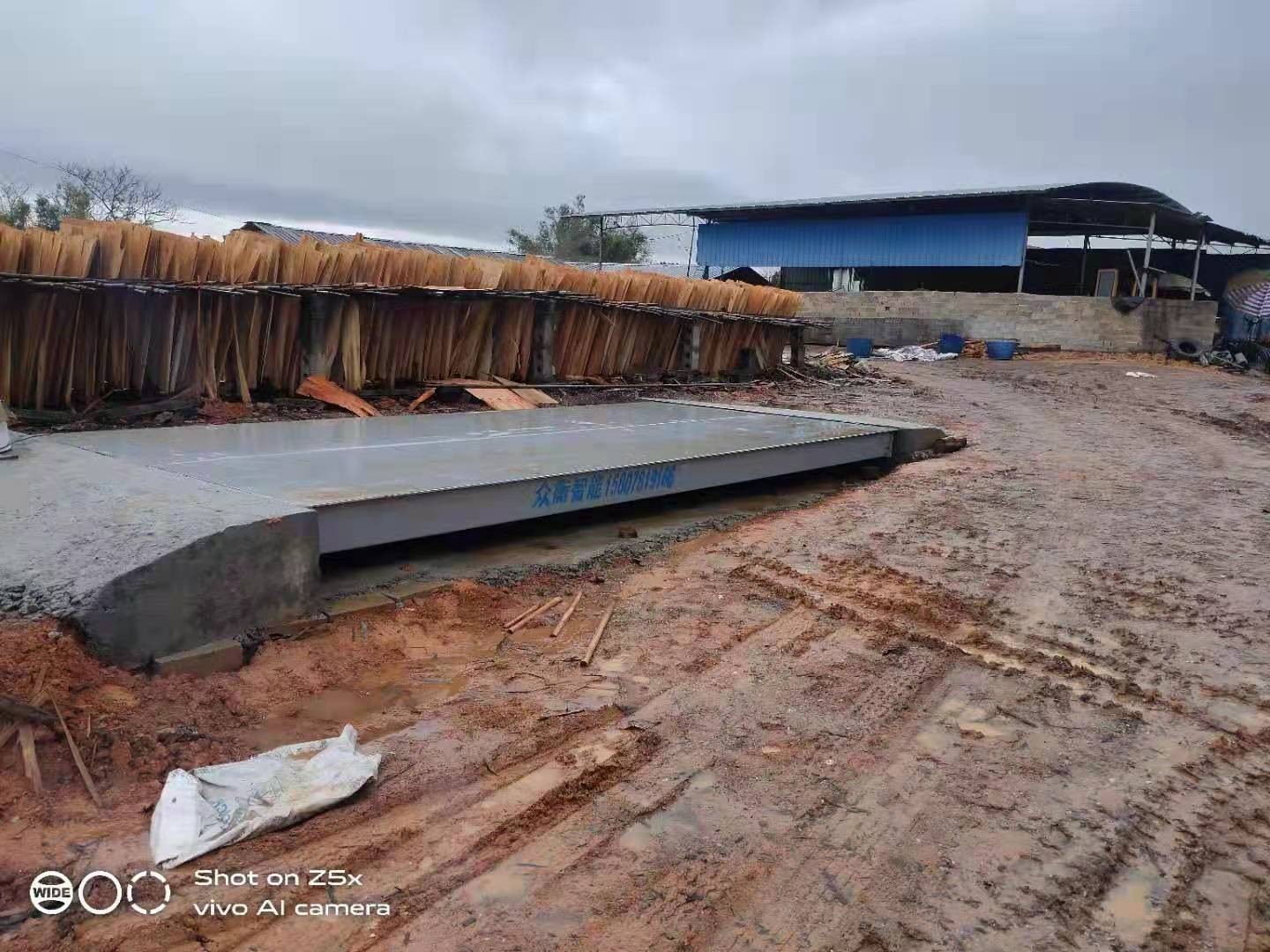 玉林木材廠30噸電子地磅