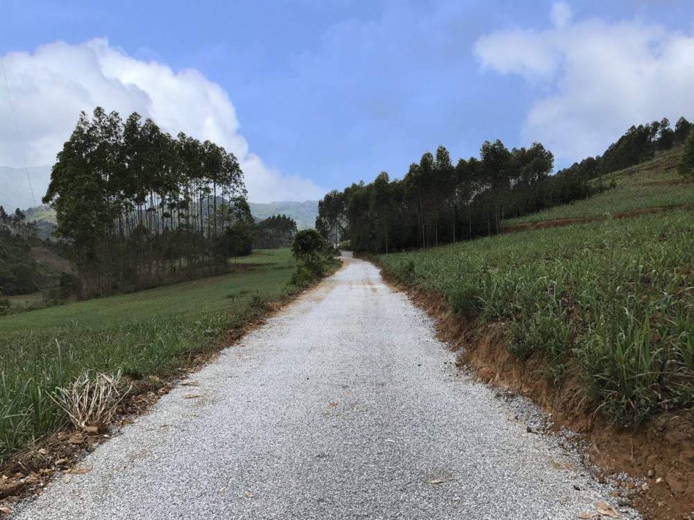 田间次道