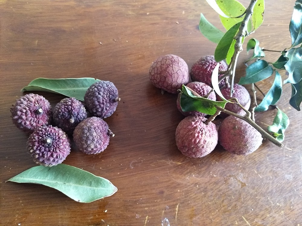 新鸿明节能烘干