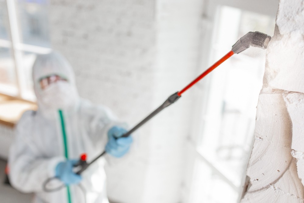 coronavirus-pandemic-disinfectant-protective-suit-mask-sprays-disinfectants-room (1)