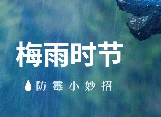 梅雨季來(lái)襲！這篇建筑防霉指南請(qǐng)收好