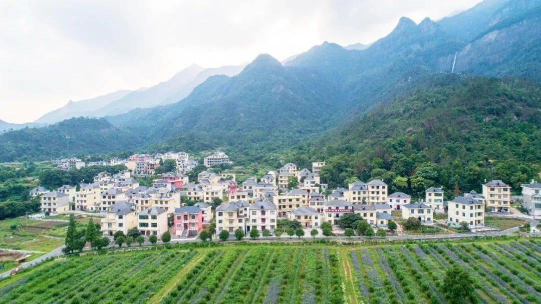 投资额4.19亿元，正弘集团成功中标云阳县人和街道莲花社区巴渝和美乡村项目设计服务采购