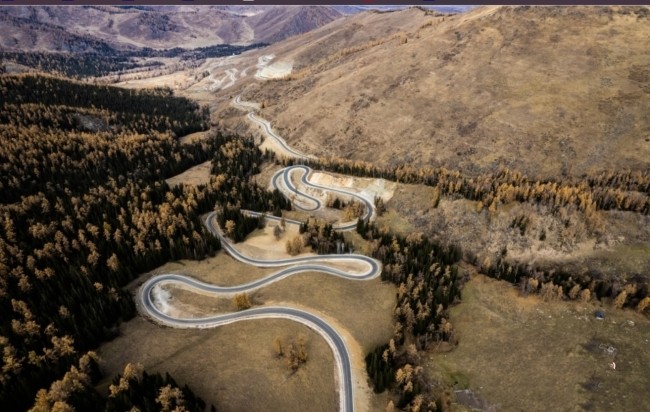 1728350584870543_副本