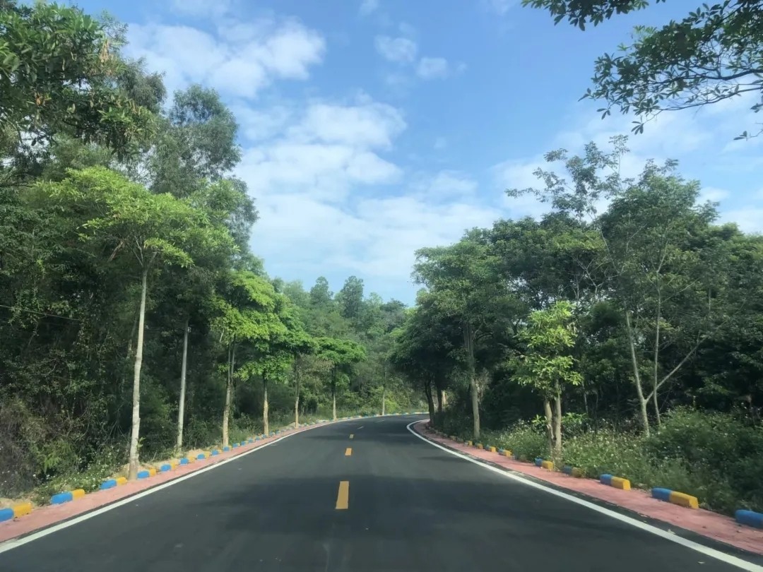 投资5822.04万元，正弘集团成功中标新塘镇农村公路部分路段提升项目(设计)