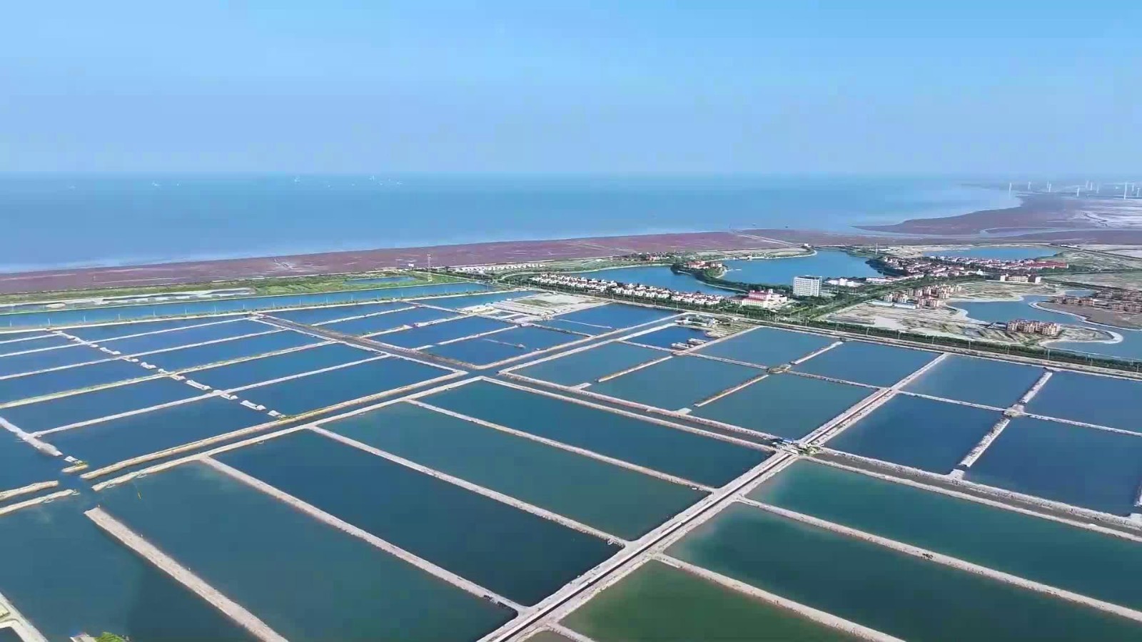 【工程资质加盟】正弘集团中标东莞新锋光伏能源科技有限公司茶山镇塘角水围股份经济合作社分布式光伏发电项目