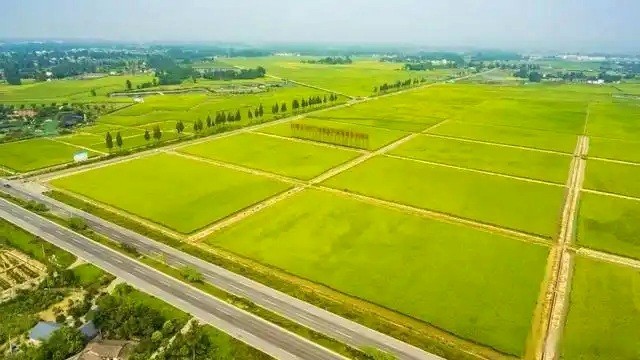 【工程资质加盟】正弘集团成功中标光山县农业农村局耕地保护及高标准农田图斑核查项目