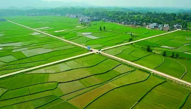 【工程资质加盟】正弘集团成功中标芷江县林下经济科技推广示范基地建设项目初步设计及概算编制