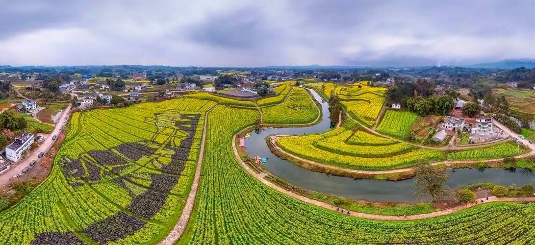 【设计资质加盟】正弘集团成功中标2025年巫山县曲尺乡哨路村巴渝和美乡村建设项目（设计预算）