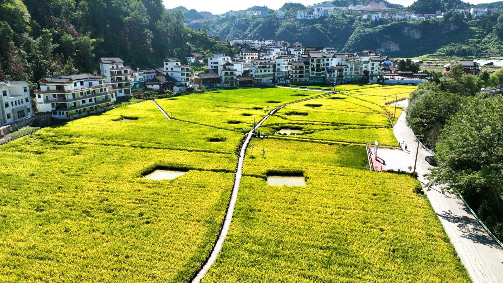 【工程资质加盟】正弘集团成功中标贵州省台江县重点流域农业面源污染治理项目（勘察）