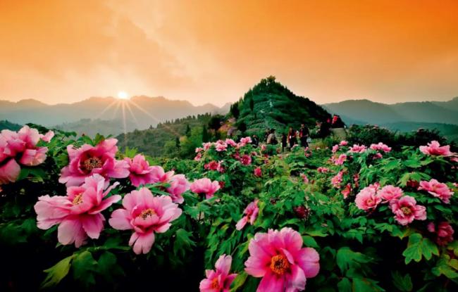 1758243831369588.jpg QQ截图20250919090336.jpg