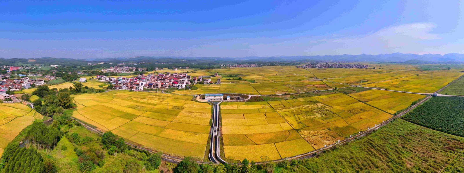 和田县农业农村局关于工程设计服务的服务市场采购项目成交公告