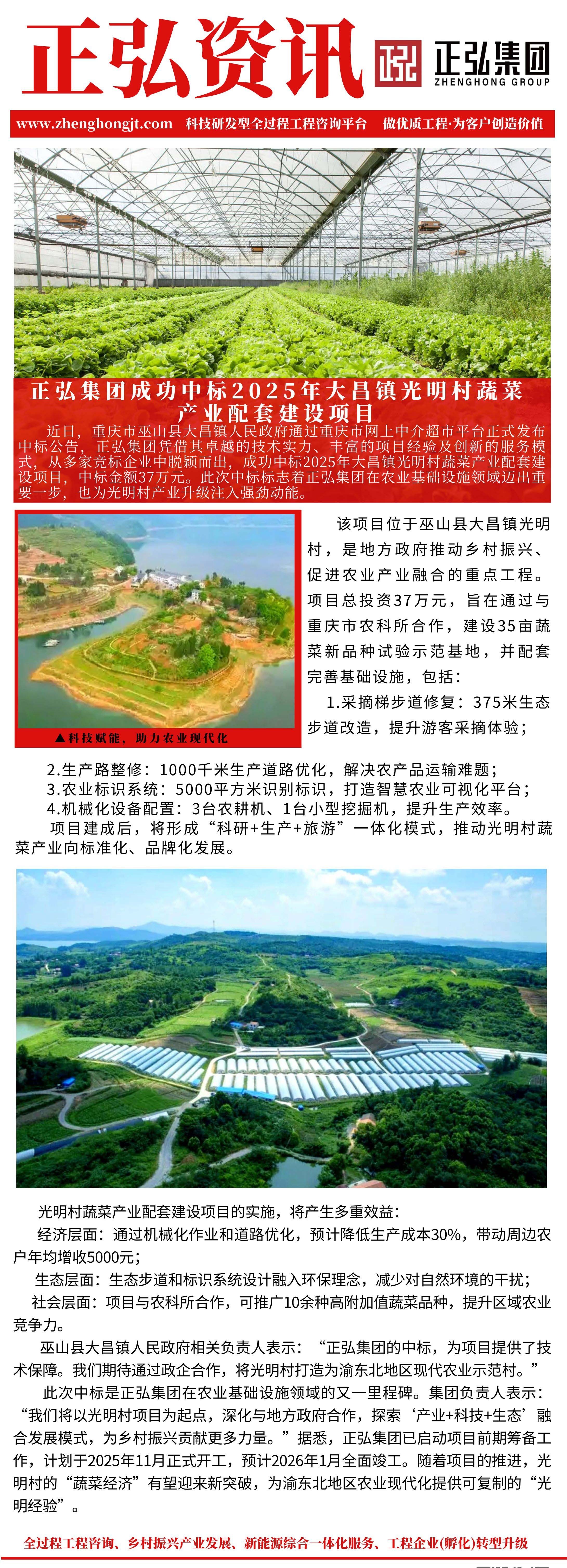 2025年大昌镇光明村蔬菜产业