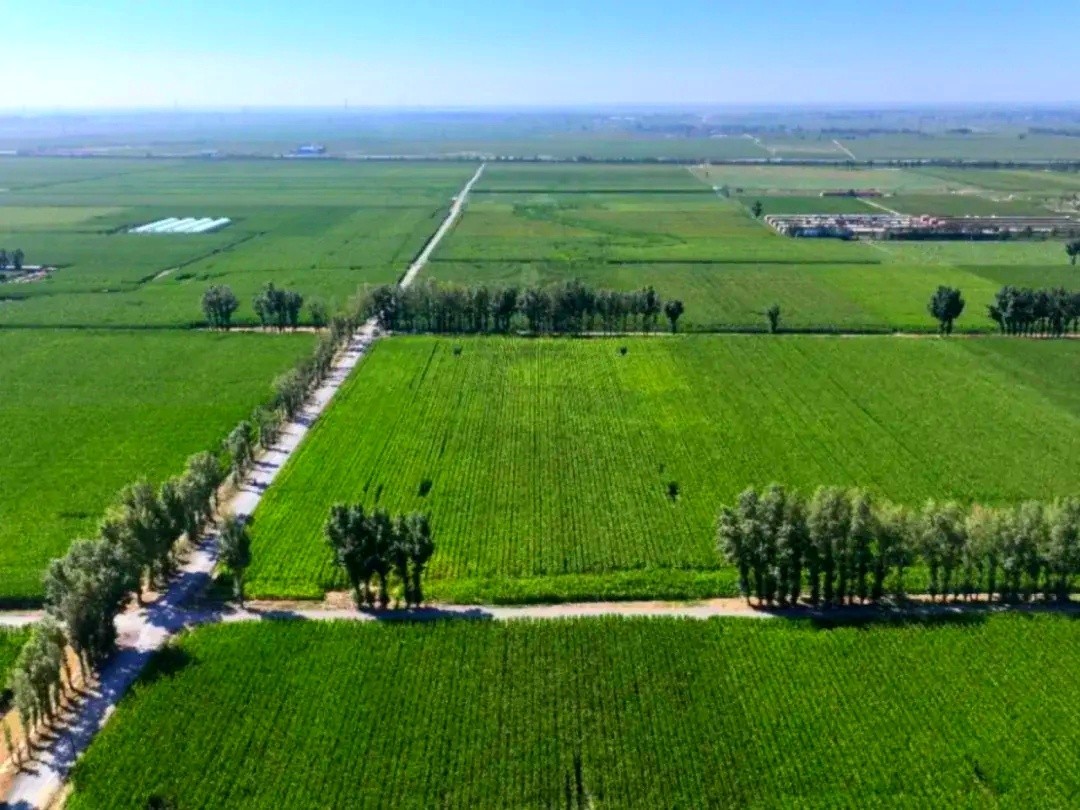 【工程资质加盟】正弘集团成功中标穆棱市2024年高标准农田建设项目初步验收及工程复核服务