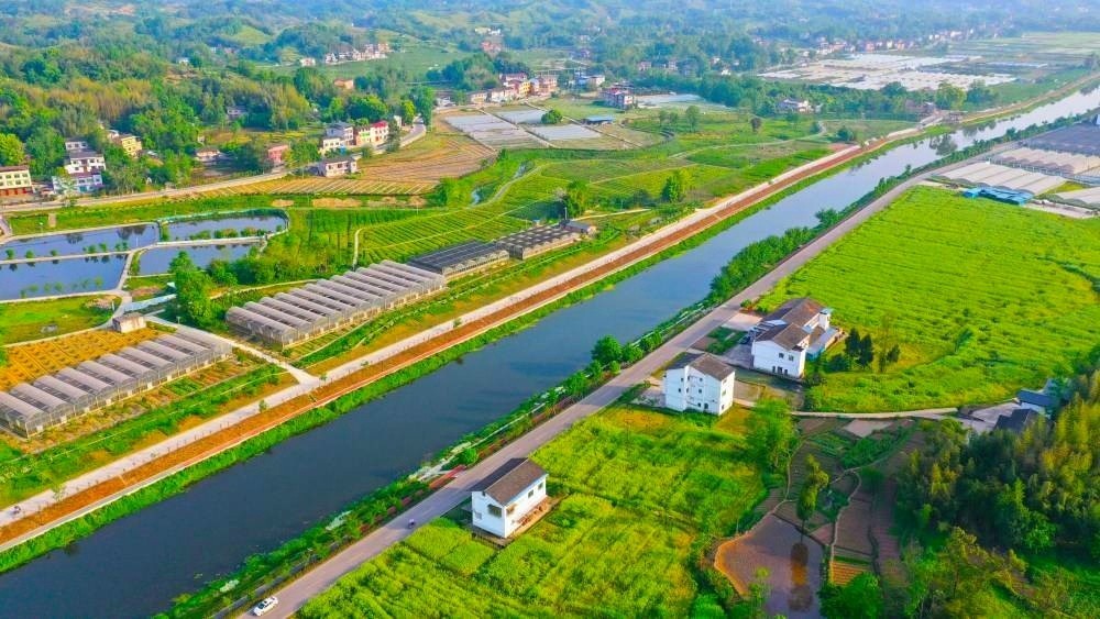 工程资质加盟！正弘集团成功中标2025年上莞镇冼川村风貌提升（第一期）工程测绘项目——以专业测绘技术助力乡村振兴风貌升级