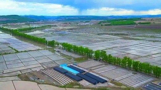 正弘集团中标东宁市2025年高标准农田工程复核项目，助力黑土地提质增效