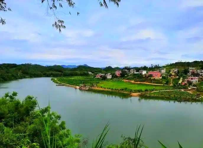 725.35万元！正弘集团联合体中标苍梧县集中式饮用水水源地保护工程-木双镇工程总承包