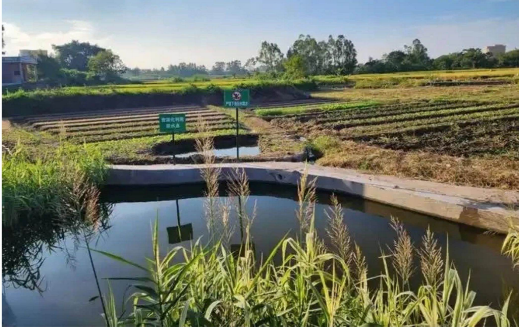 1765884256436 1765884256436