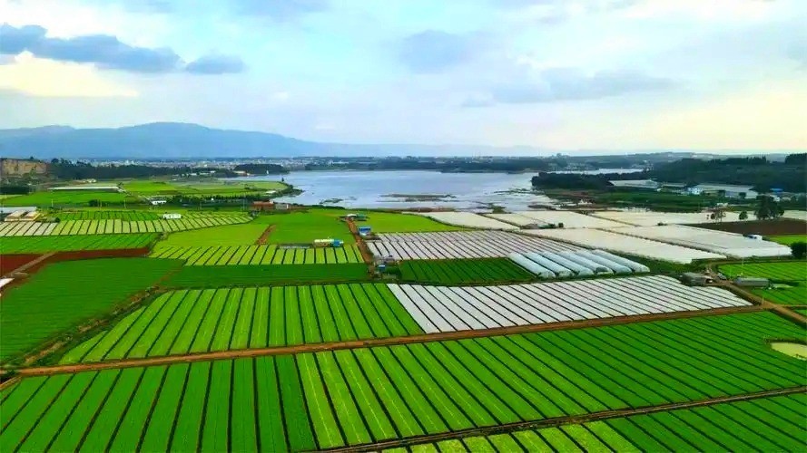 正弘集团旗下正弘设计有限公司成功中标鄂州市鄂城区农业农村局鄂州市鄂城区重点流域农业面源污染治理项目设计