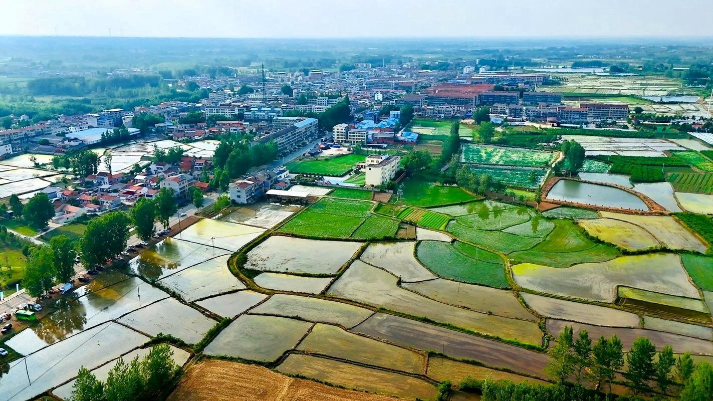 鄂城区重点流域农业面源污染治理 (2)