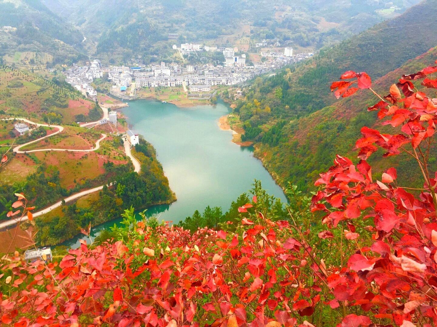 巫山县培石乡2026年污水管网 (1)