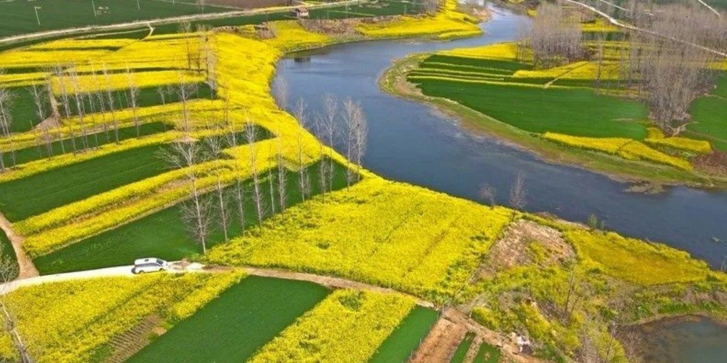 正弘集团携手合作伙伴成功中标怀集县10万亩土地流转蔬菜基地建设项目