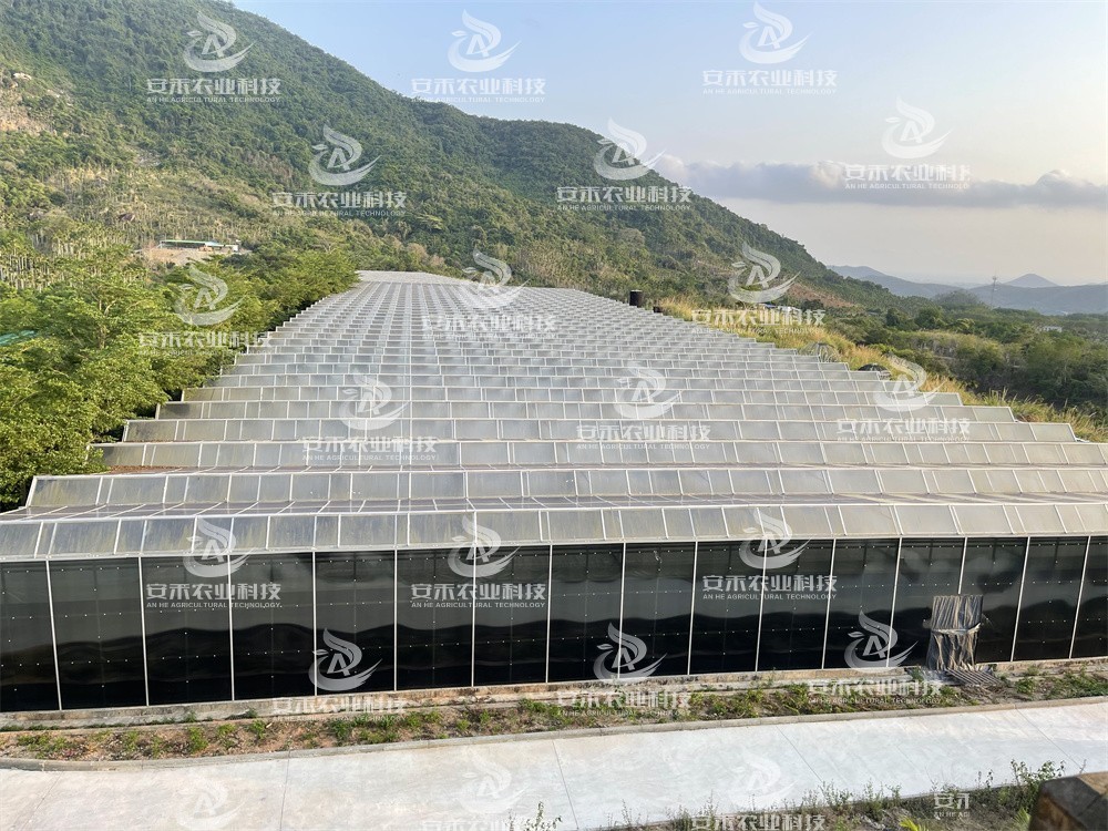 太陽能溫室