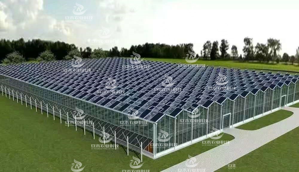 太陽能玻璃溫室效果圖