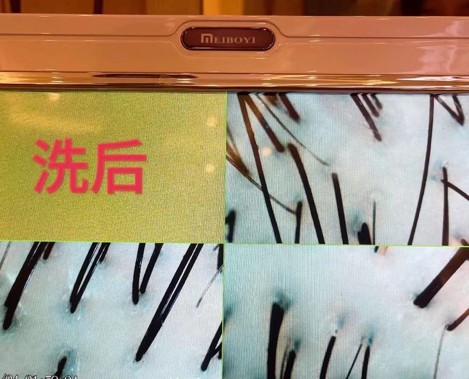 微信图片_20240117144311
